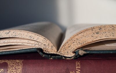 Letteratura odeporica, ovvero “la scrittura di viaggio”. Osservando il mondo, osserviamo noi stessi. Raccontando un viaggio trasmettiamo il nostro sentire.